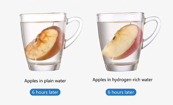 Portable Hydrogen Water Generator